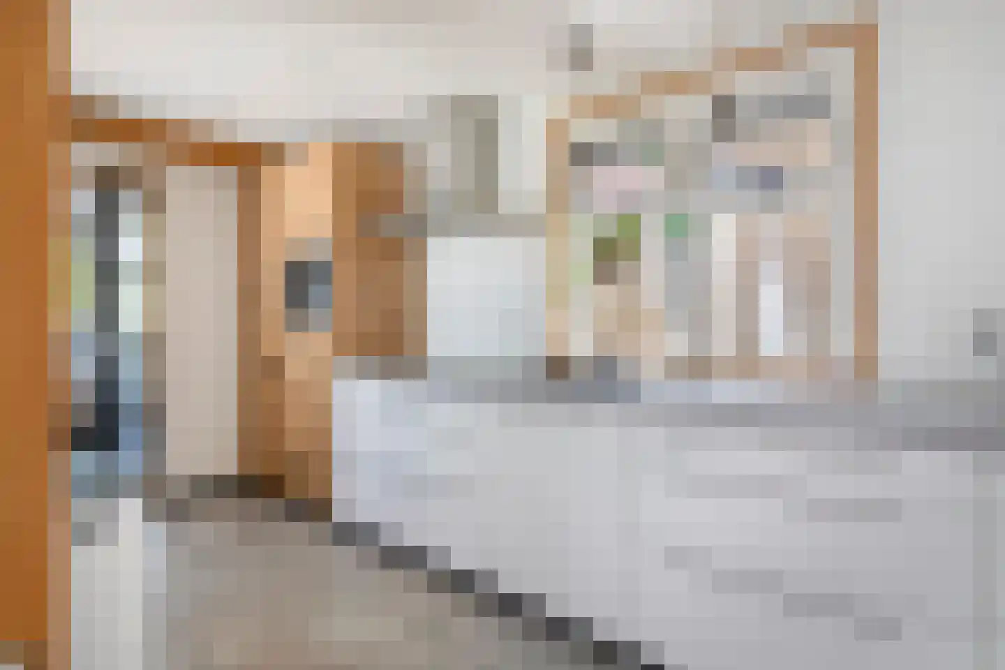 Anjelierstraat 48 Goes thumbnail 4