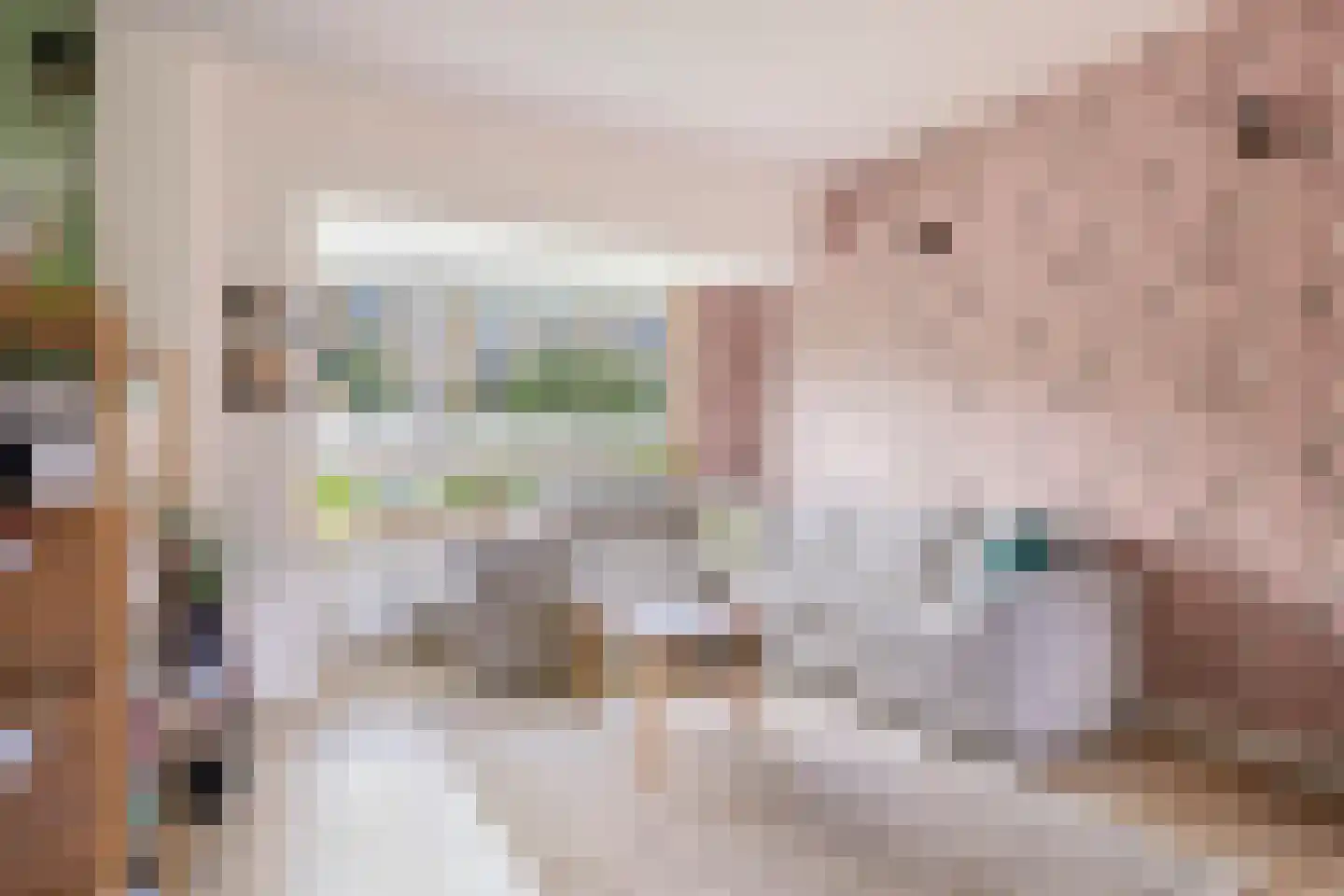 Anjelierstraat 48 Goes thumbnail 7
