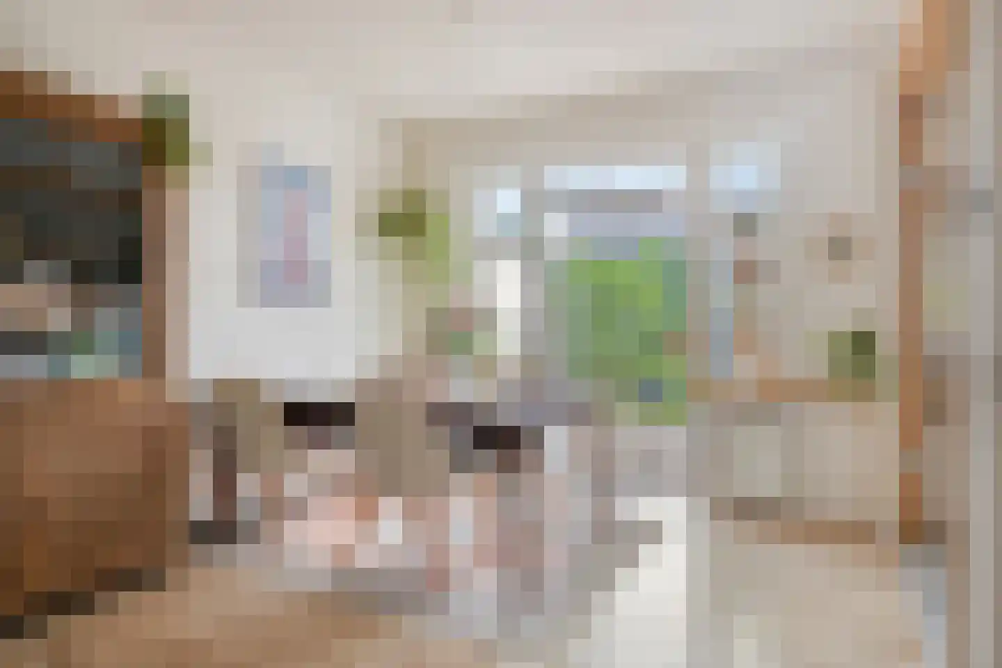 Anjelierstraat 48 Goes thumbnail 8