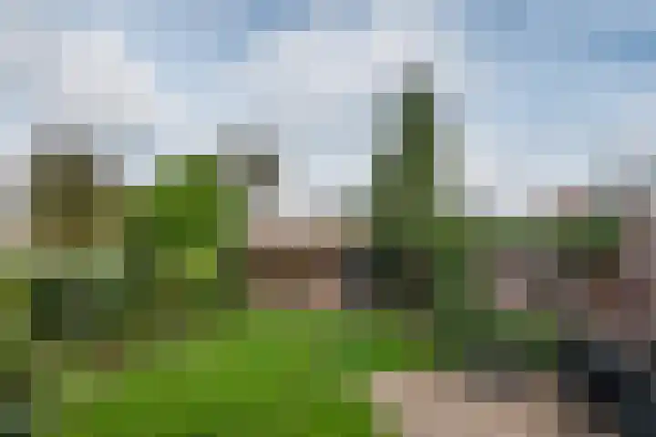 Anjelierstraat 5 Uden thumbnail 10