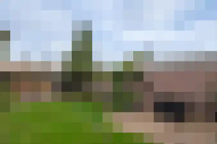 Anjelierstraat 5 Uden thumbnail 11
