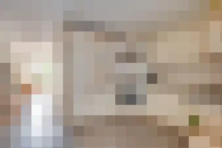 Anjelierstraat 5 Uden thumbnail 20