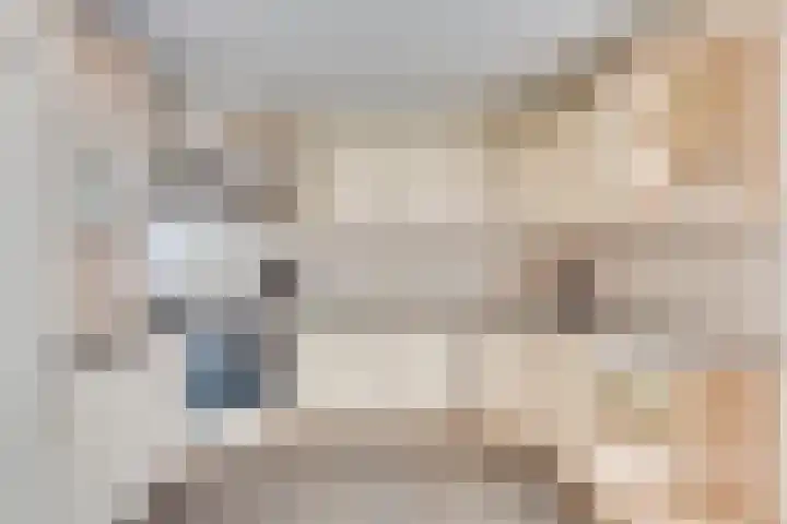 Anjelierstraat 5 Uden thumbnail 21