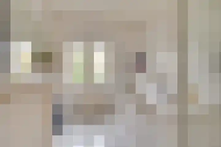 Anjelierstraat 5 Uden thumbnail 30