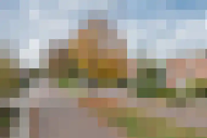 Anjelierstraat 5 Uden thumbnail 4