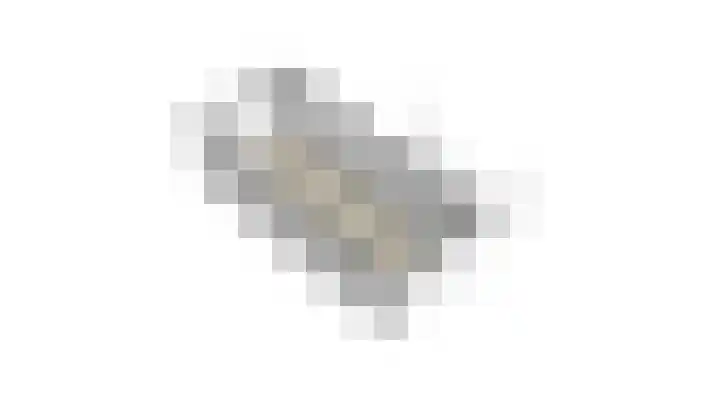 Anjelierstraat 5 Uden thumbnail 41