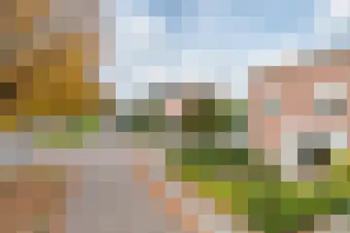 Anjelierstraat 5 Uden thumbnail 5