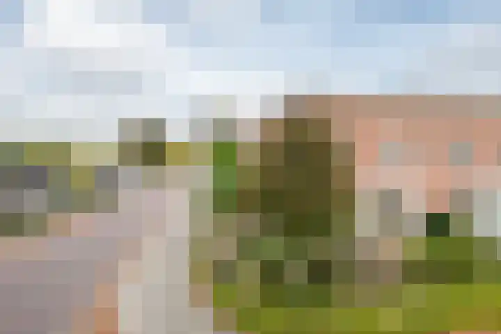 Anjelierstraat 5 Uden thumbnail 6