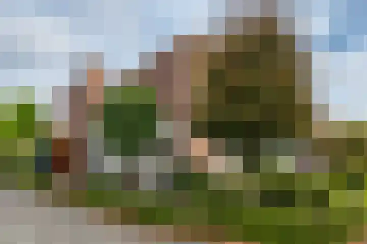 Anjelierstraat 5 Uden thumbnail 8