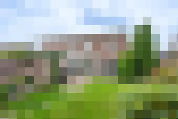 Anjelierstraat 5 Uden thumbnail 9