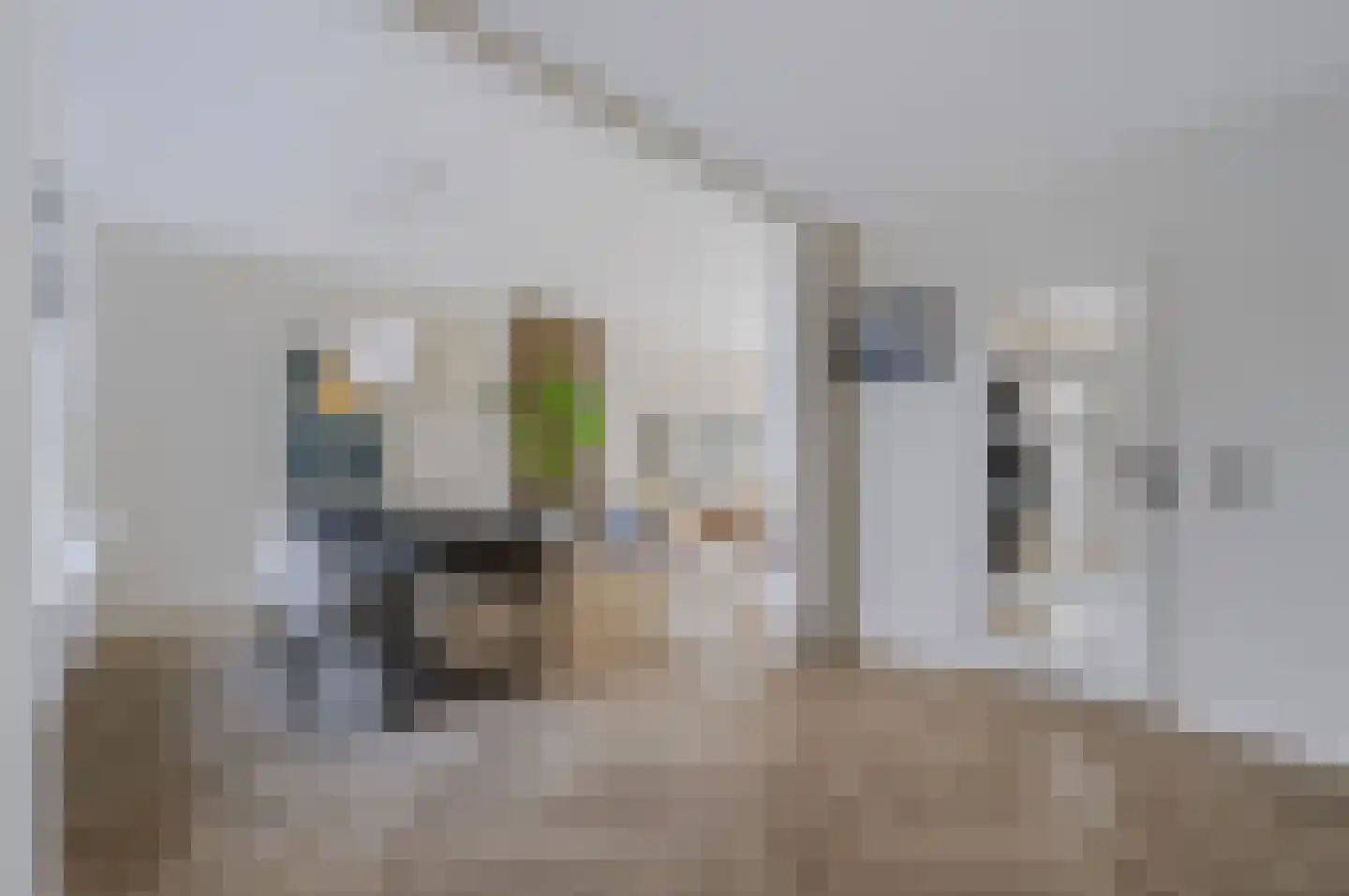 Anjelierstraat 51 Wierden thumbnail 10
