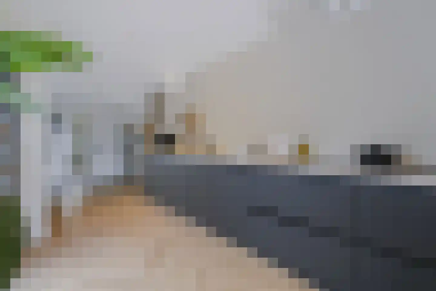 Anjelierstraat 51 Wierden thumbnail 12