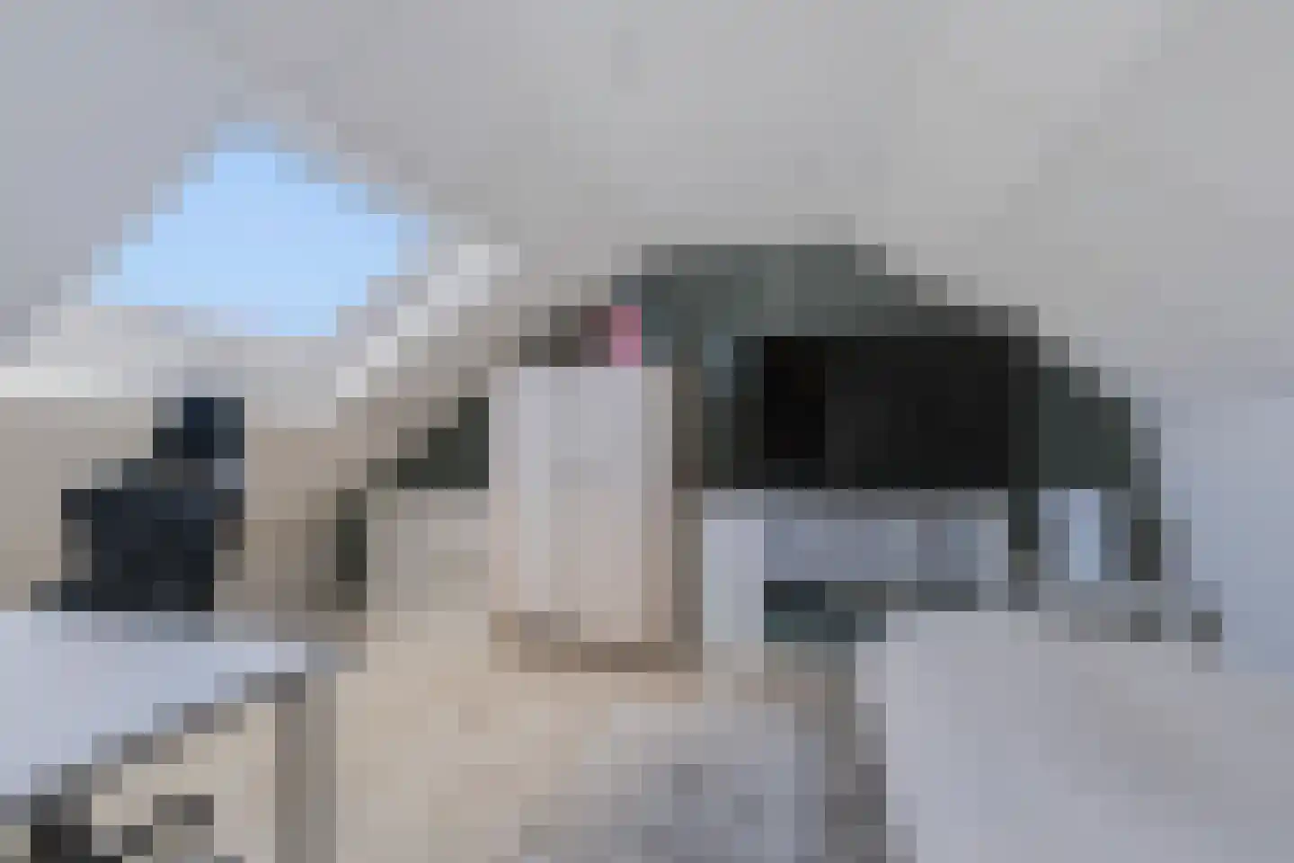 Anjelierstraat 51 Wierden thumbnail 23