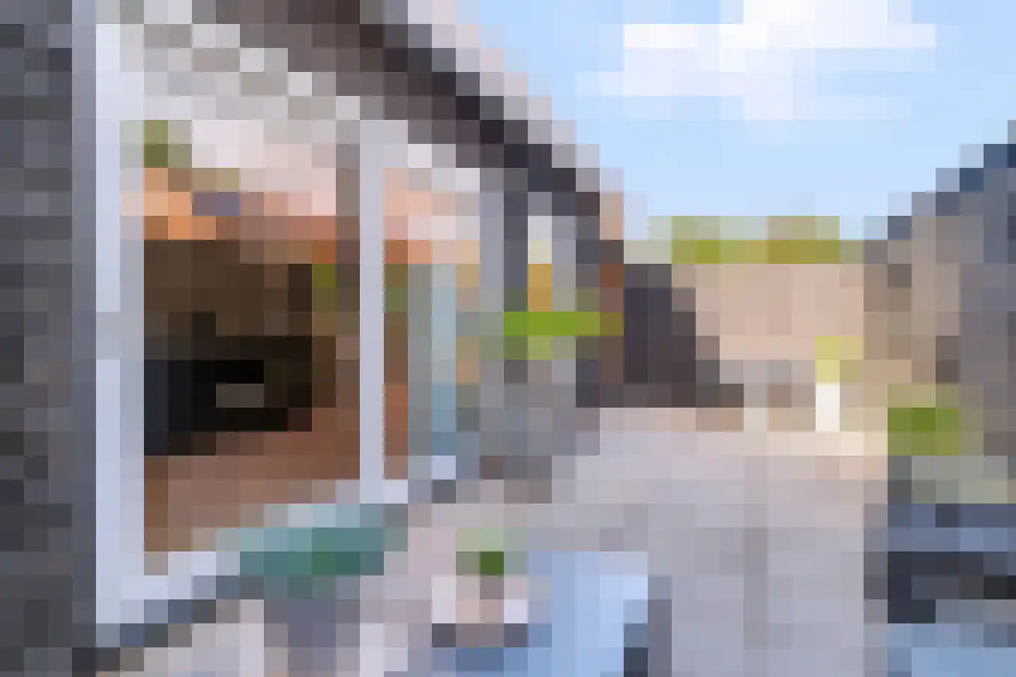Anjelierstraat 51 Wierden thumbnail 30
