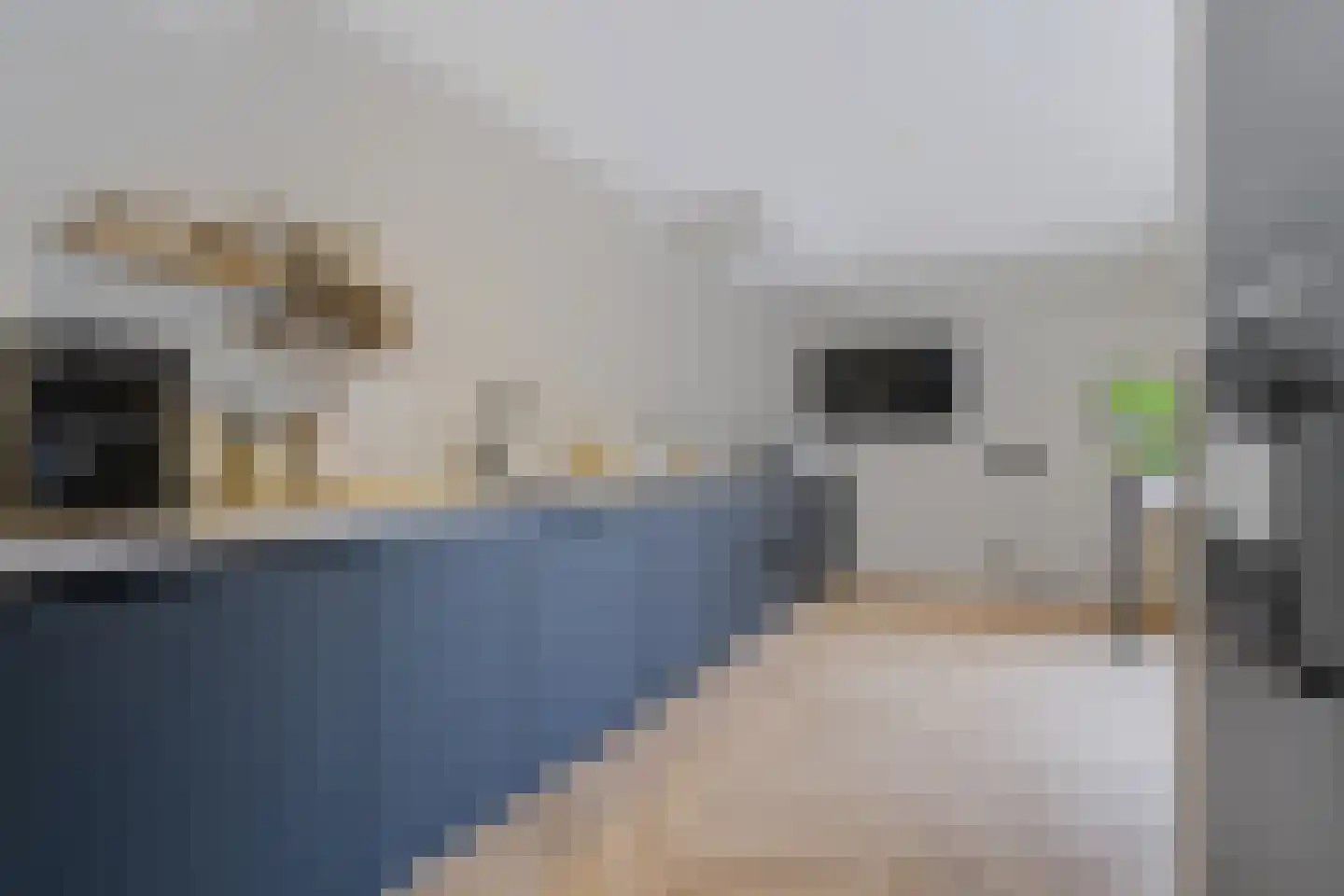 Anjelierstraat 51 Wierden thumbnail 4