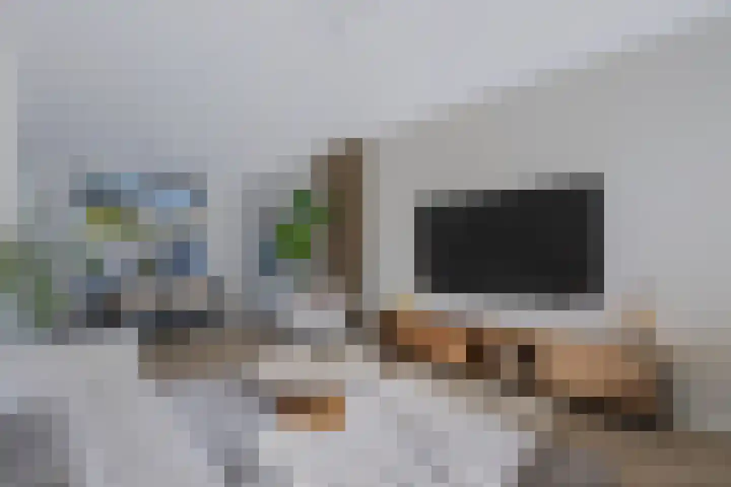 Anjelierstraat 51 Wierden thumbnail 7