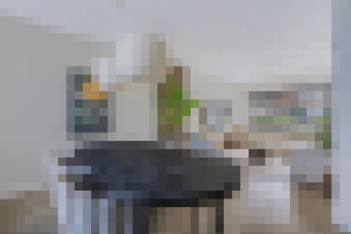 Anjelierstraat 51 Wierden thumbnail 9