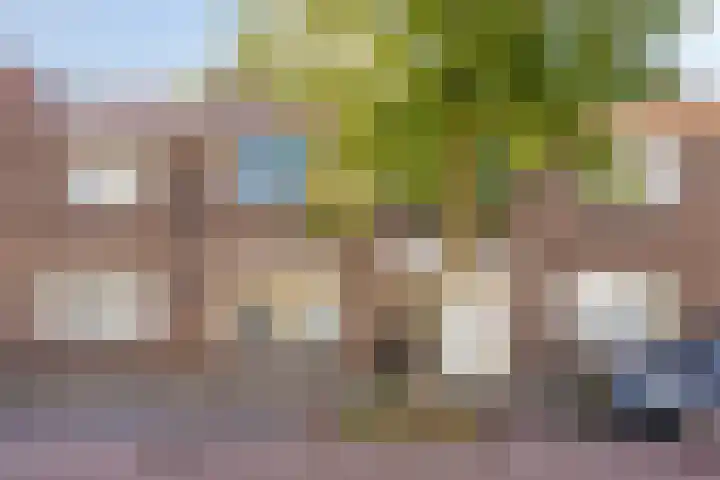 Anjelierstraat 56 in Eindhoven