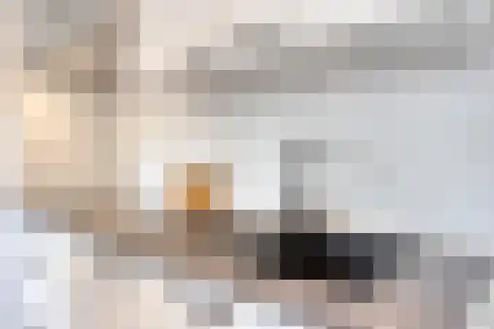 Anjelierstraat 56 Eindhoven thumbnail 12