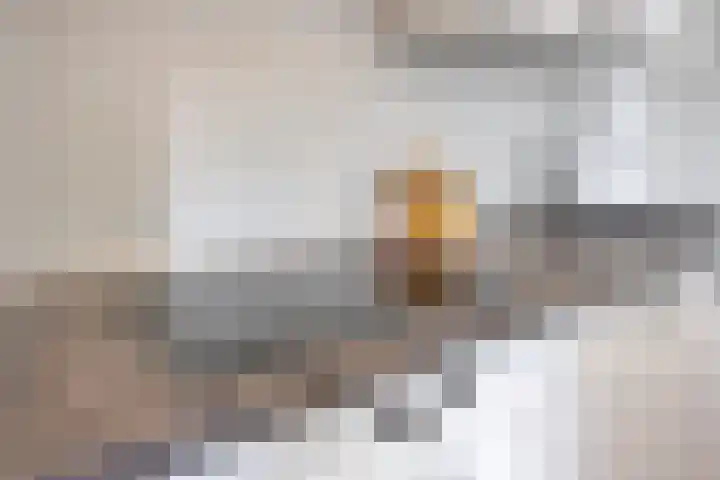 Anjelierstraat 56 Eindhoven thumbnail 13