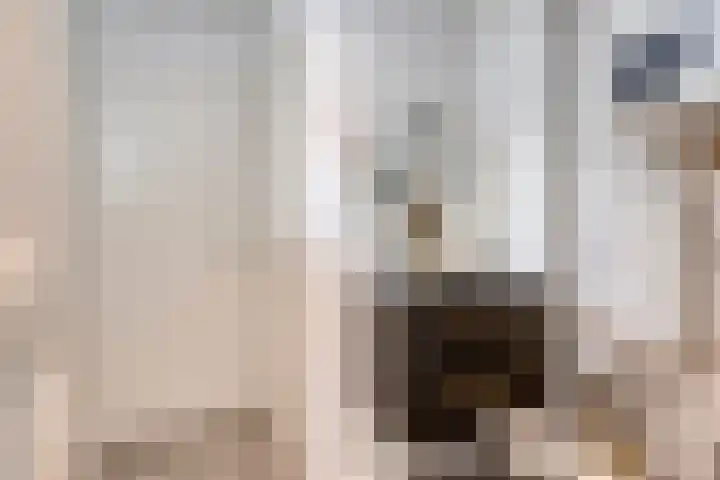 Anjelierstraat 56 Eindhoven thumbnail 15