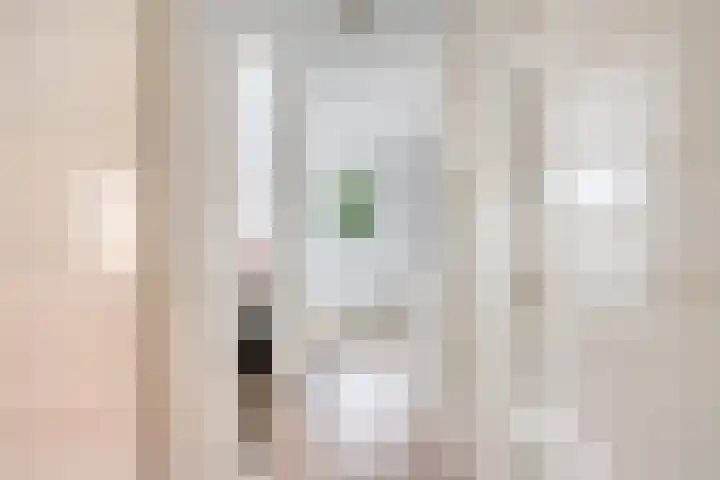Anjelierstraat 56 Eindhoven thumbnail 18