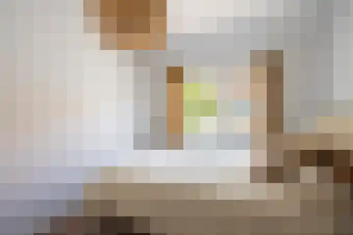 Anjelierstraat 56 Eindhoven thumbnail 20