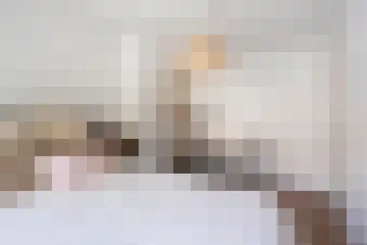 Anjelierstraat 56 Eindhoven thumbnail 21