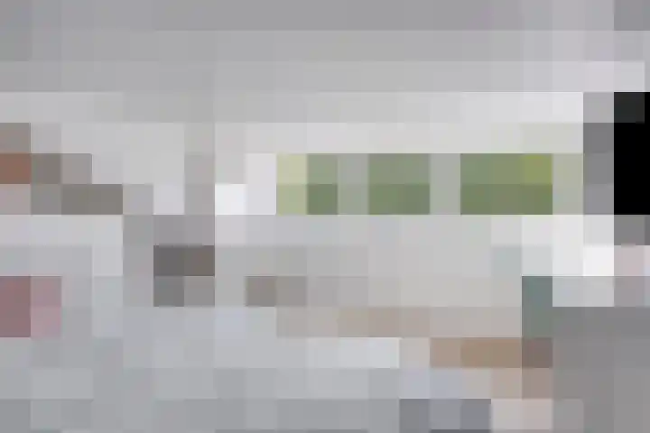 Anjelierstraat 56 Eindhoven thumbnail 25