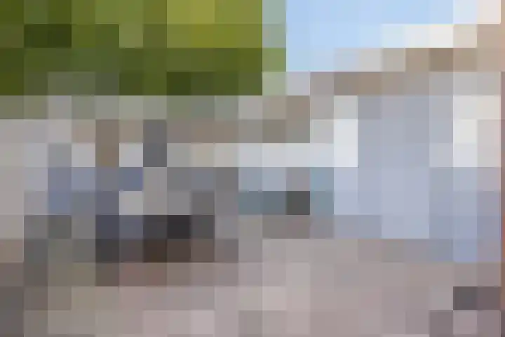 Anjelierstraat 56 Eindhoven thumbnail 30