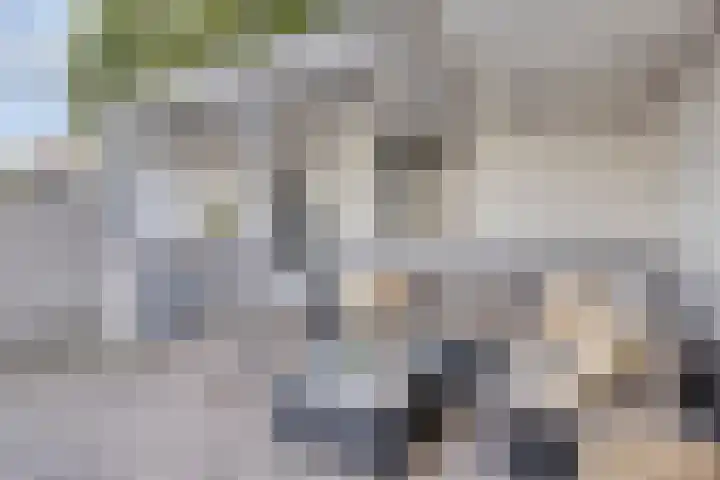 Anjelierstraat 56 Eindhoven thumbnail 32