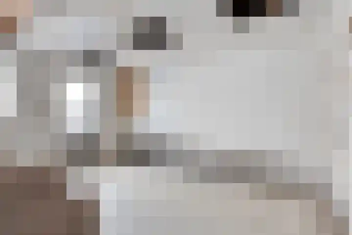 Anjelierstraat 56 Eindhoven thumbnail 34
