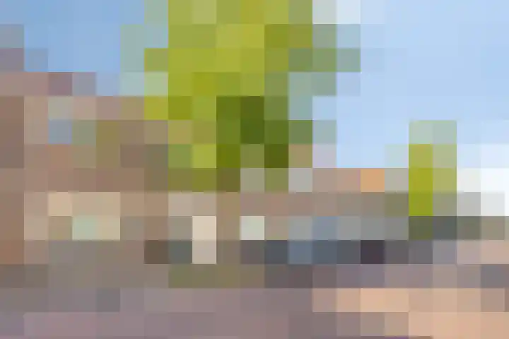 Anjelierstraat 56 Eindhoven thumbnail 36