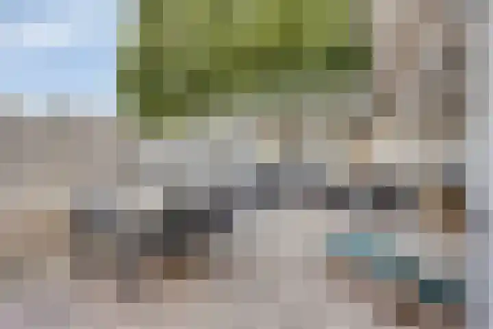 Anjelierstraat 56 Eindhoven thumbnail 4