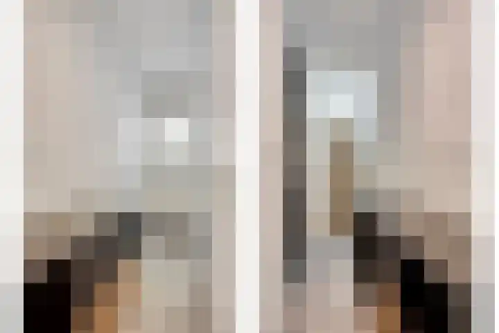 Anjelierstraat 56 Eindhoven thumbnail 5