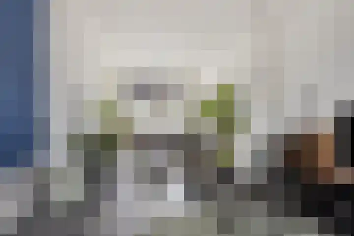 Anjelierstraat 6 Goes thumbnail 10