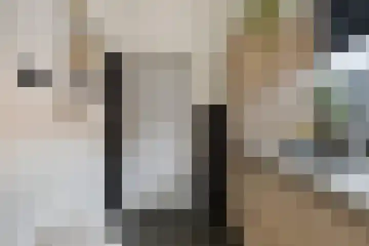 Anjelierstraat 6 Goes thumbnail 12
