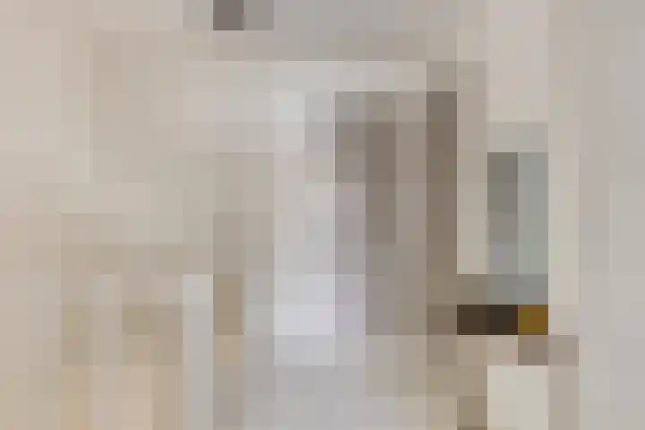 Anjelierstraat 6 Goes thumbnail 14