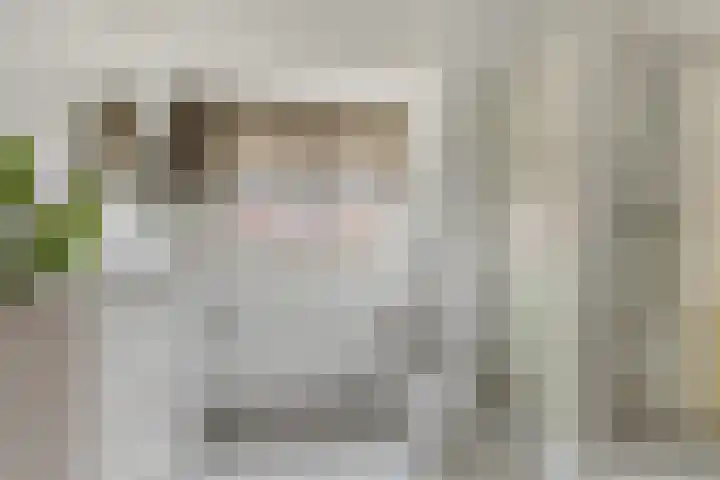 Anjelierstraat 6 Goes thumbnail 17