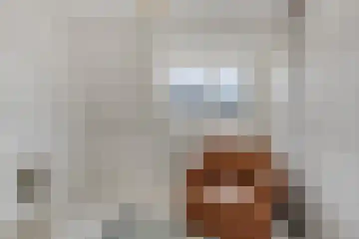 Anjelierstraat 6 Goes thumbnail 18