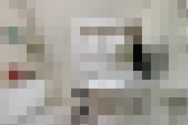 Anjelierstraat 6 Goes thumbnail 20