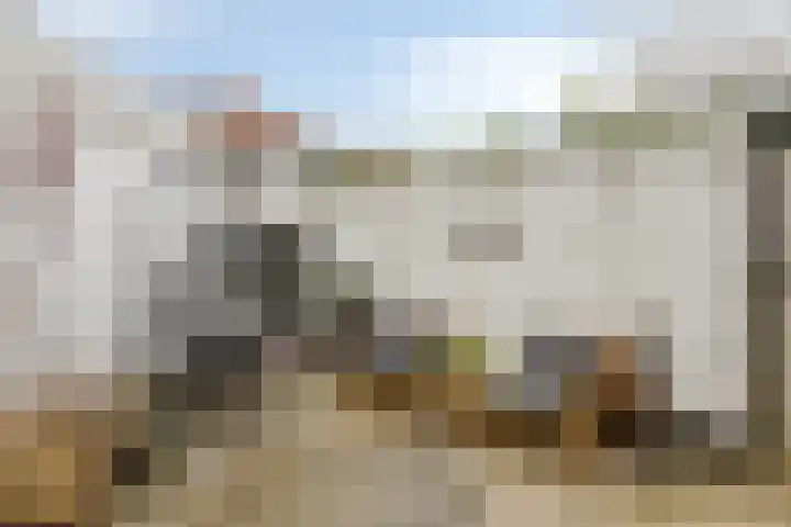 Anjelierstraat 6 Goes thumbnail 22
