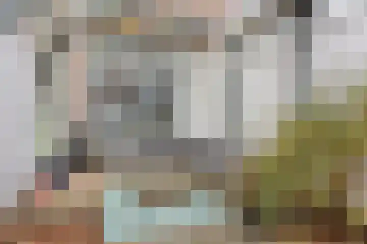Anjelierstraat 6 Goes thumbnail 23