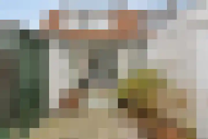 Anjelierstraat 6 Goes thumbnail 24