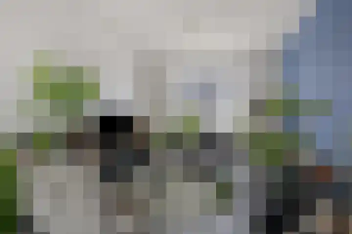 Anjelierstraat 6 Goes thumbnail 8