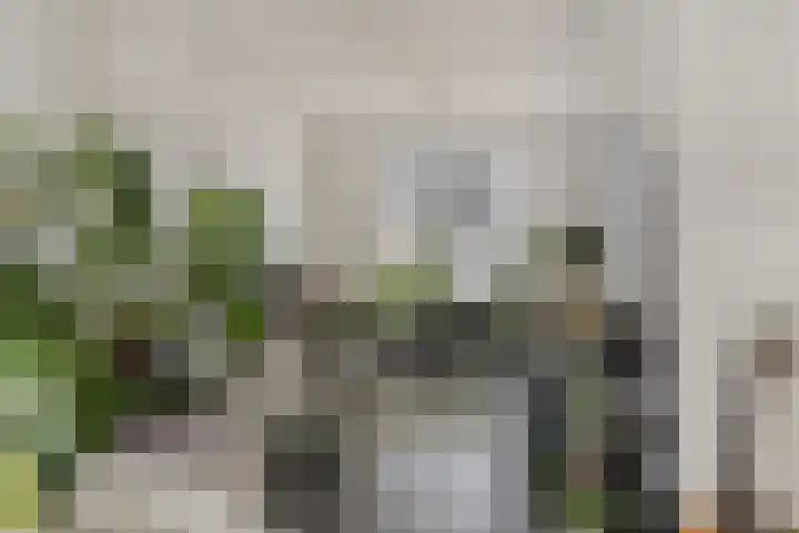 Anjelierstraat 6 Goes thumbnail 9