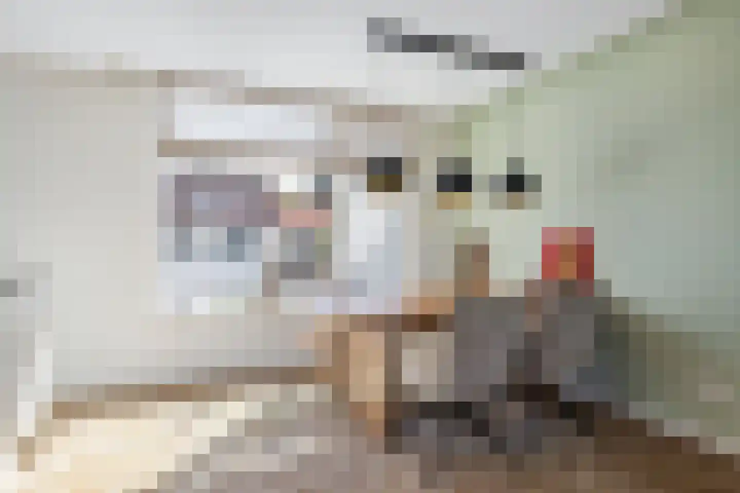 Anjelierstraat 6 Heerenveen thumbnail 10