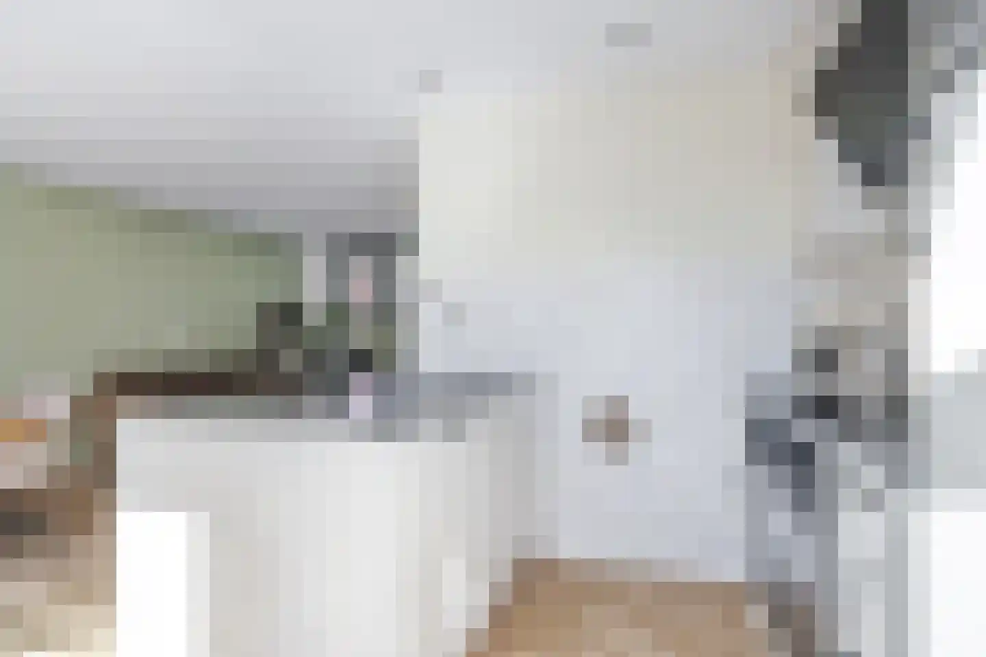 Anjelierstraat 6 Heerenveen thumbnail 13