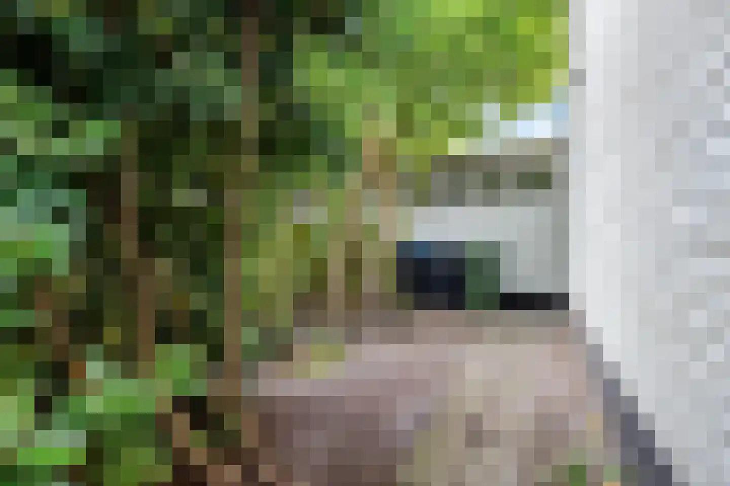 Anjelierstraat 6 Heerenveen thumbnail 37