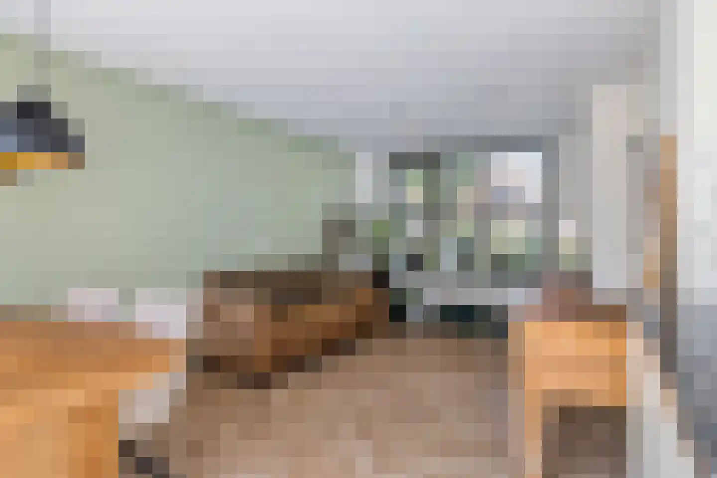 Anjelierstraat 6 Heerenveen thumbnail 6